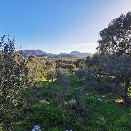 Casa Mariposa Porto Rotondo Villa Rudalza Eksteriør bilde