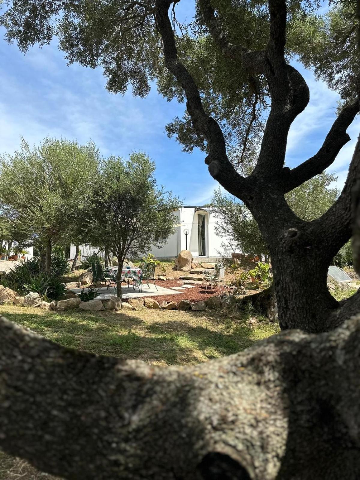 Casa Mariposa Porto Rotondo Villa Rudalza Eksteriør bilde